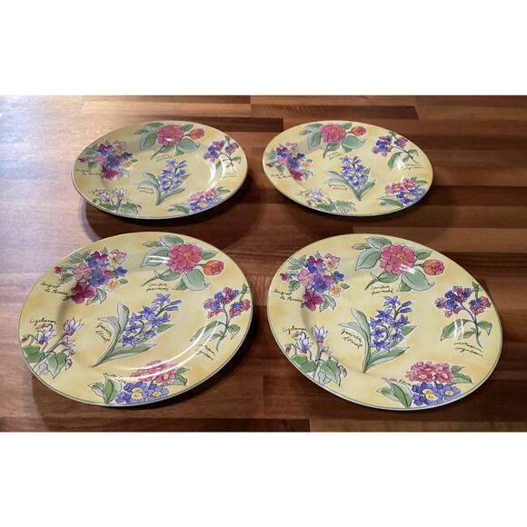 Sakura Sue Zipkin Creme Brûlée Botanical Floral Set of Four 8" Salad Plates 1995 - Picture 3 of 9